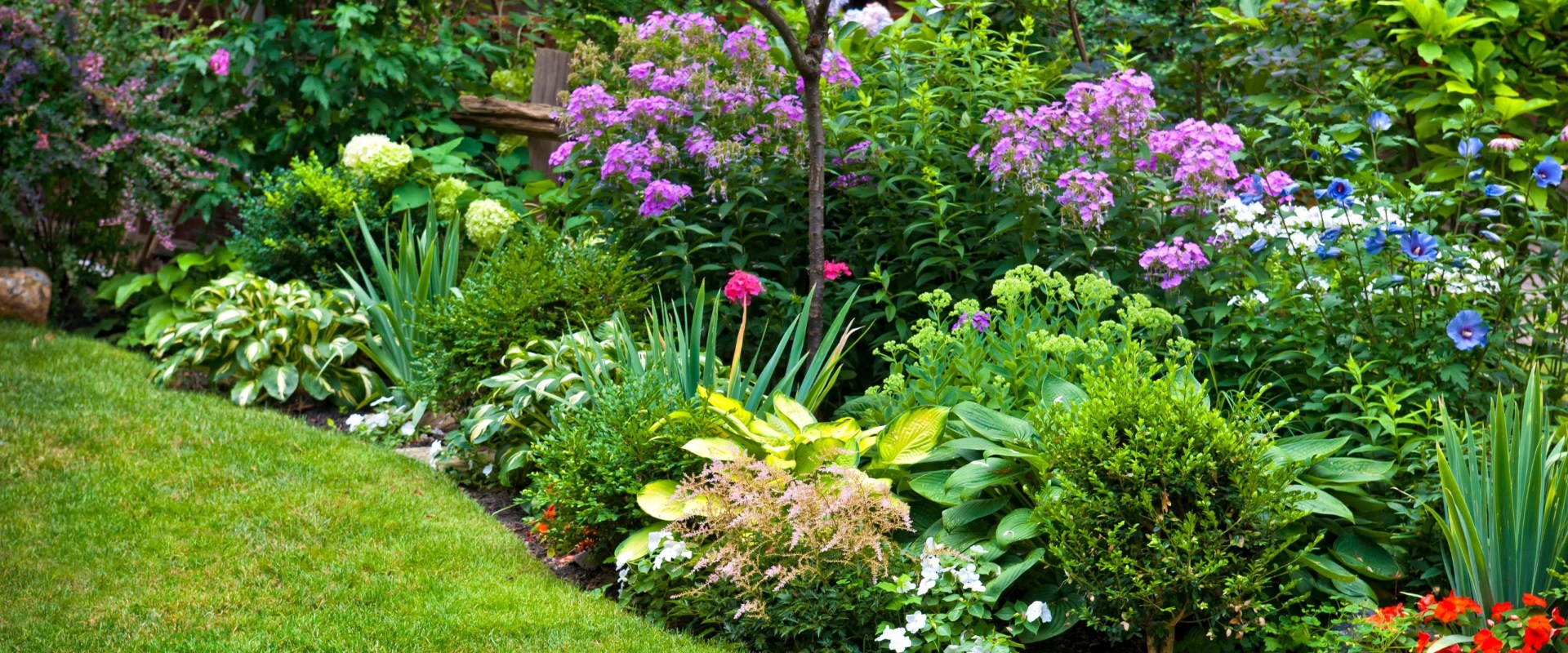 How to Make the Most of Your Free Time with Gardening