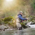 Fishing: A Relaxing and Rewarding Hobby for Your Free Time